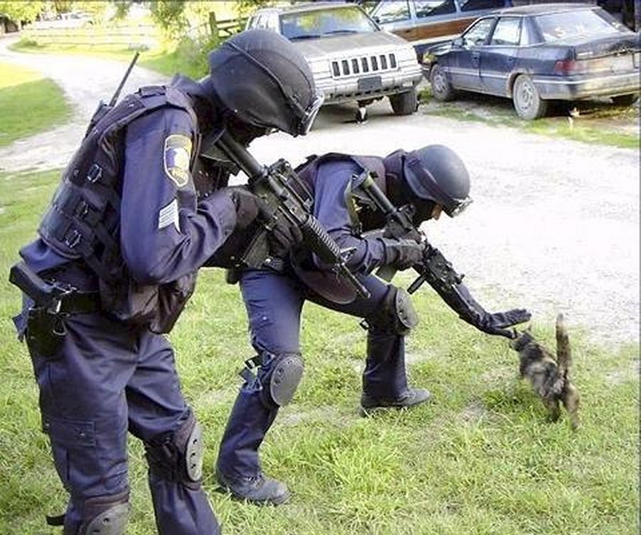 Two people in dark uniforms kneeling to gently pet a small cat outdoors near parked vehicles, calm and quietly compassionate mood
